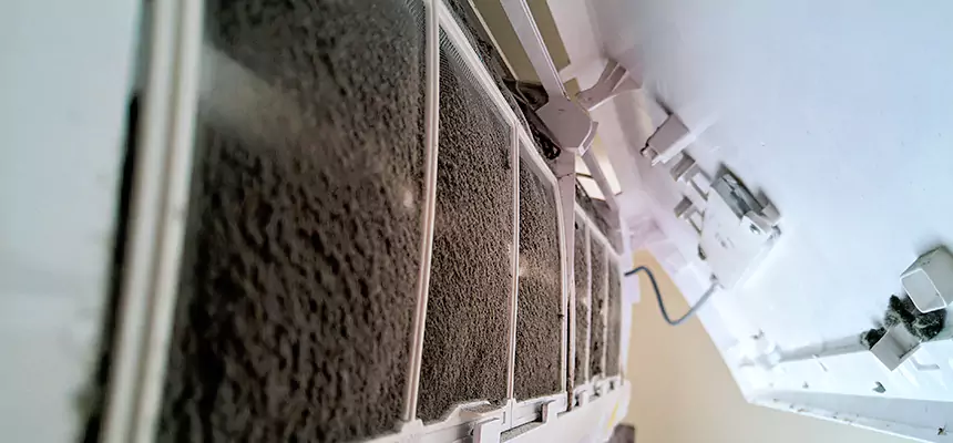 Preventive Air Duct Bacteria Removal in Zanesville