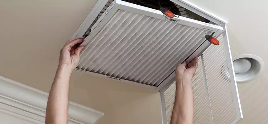 Preventive Cockroach-Proofing for Ducts in Zanesville