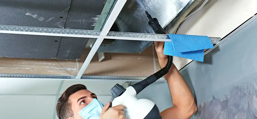 Our Air Duct Rodent Removal Services in Zanesville, OH