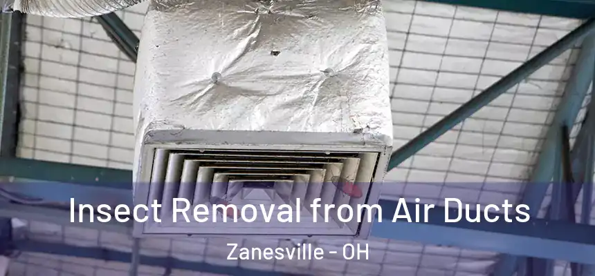  Insect Removal from Air Ducts Zanesville - OH