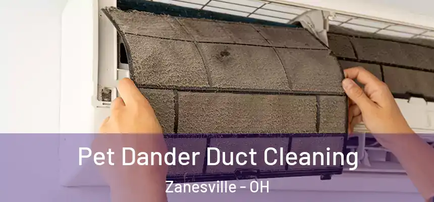  Pet Dander Duct Cleaning Zanesville - OH