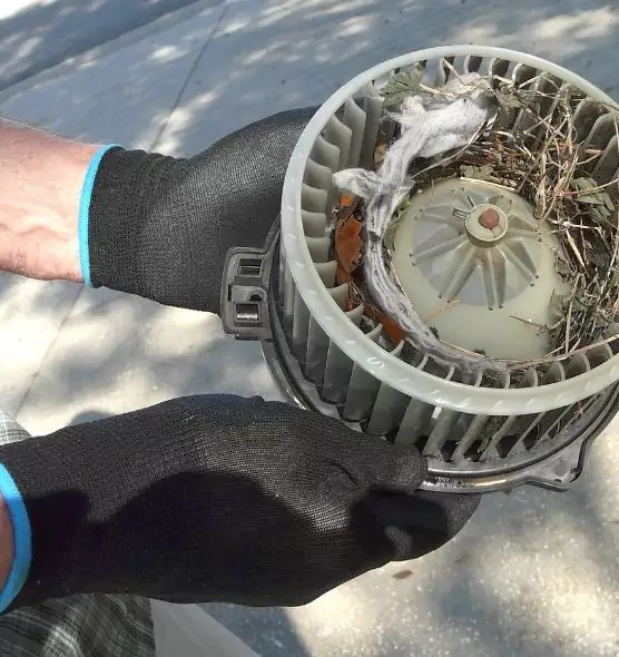 About Air Duct Mice Removal in Zanesville, OH