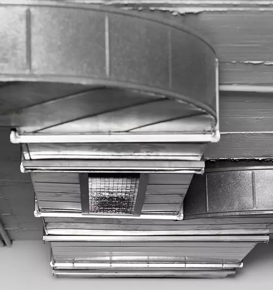 Professional Air Duct Pest Removal in Zanesville, OH