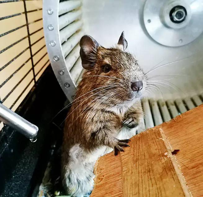 Why Homeowners & Businesses Trust Us Zanesville, OH?